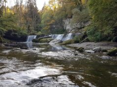 Chutes des Chavanettes depuis Rue : escapade fraîcheur dans la Broye fribourgeoise Chutes des Chavanettes