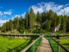 Juraparc à Vallorbe : balade nature, animaux et aventure en famille ! Juraparc à Vallorbe
