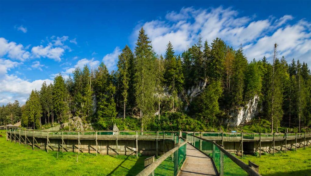 Juraparc à Vallorbe