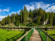 Juraparc à Vallorbe : balade nature, animaux et aventure en famille ! Juraparc à Vallorbe