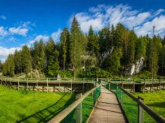 Juraparc à Vallorbe : balade nature, animaux et aventure en famille ! Juraparc à Vallorbe