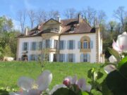 Le Centre Pro Natura de Champ-Pittet : nature, jeu et découverte Centre Pro Natura de Champ-Pittet