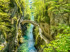 Gorges de l’Areuse : la randonnée entre roches et torrents Gorges de l’Areuse