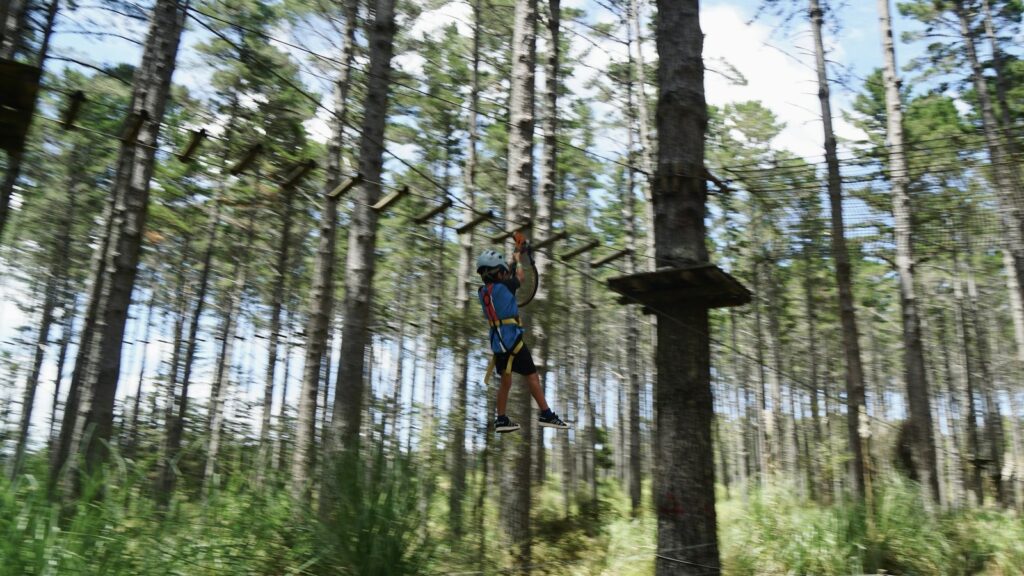 Personne équipée sur un parcours accrobranche en forêt, image d’illustration d’Aventure Jura Parc à Porrentruy