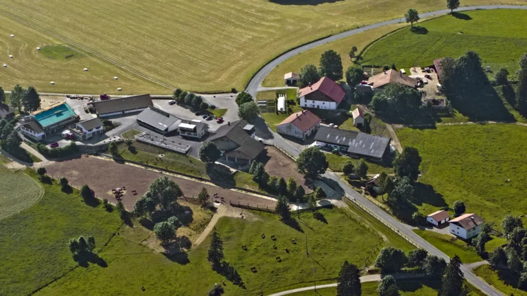 Fondation pour le cheval au Roselet : préparer la visite