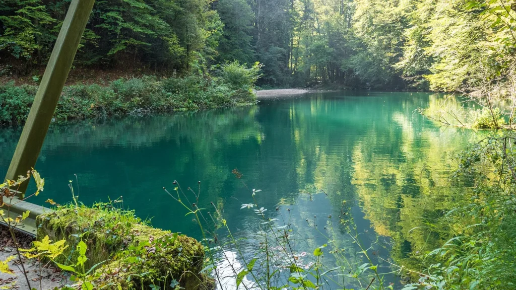 Lac Vert entouré de forêt dans les gorges du Pichoux à Undervelier