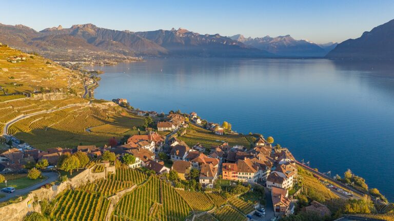 Terrasses viticoles de Lavaux dominant le lac Léman dans le canton de Vaud
