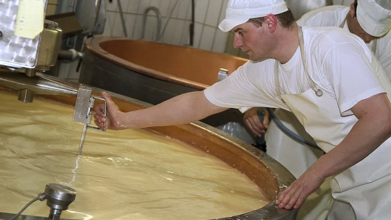 Maison du Gruyère à Pringy : visite et tarifs