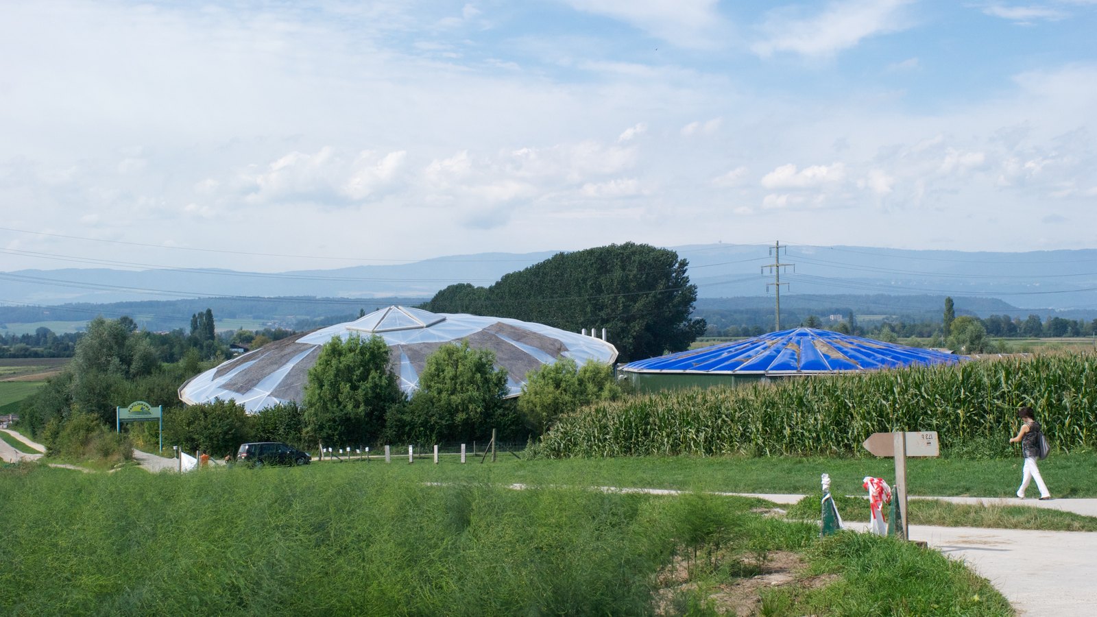 Papiliorama Kerzers : visite, tarifs et conseils