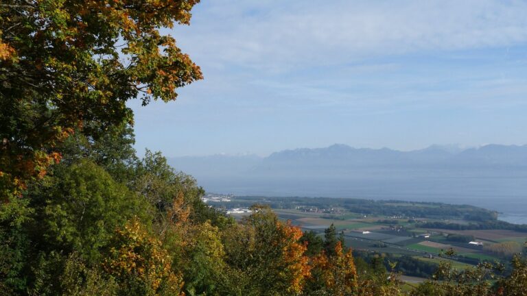 Vue sur le Léman et les Alpes depuis le parc Pré Vert du Signal de Bougy