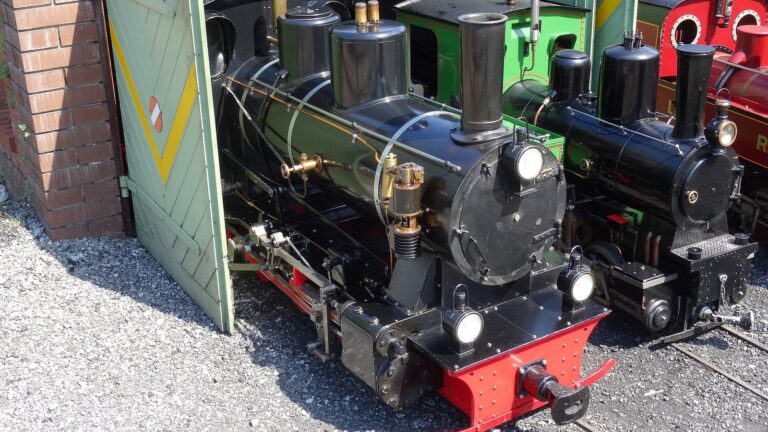 Train miniature à vapeur Mecklenburg au Swiss Vapeur Parc du Bouveret